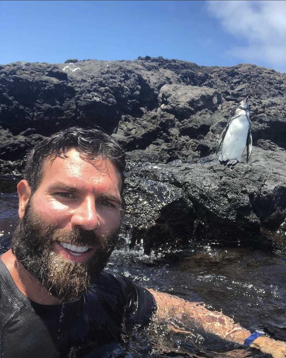 Dan Bilzerian for Congress tweet media