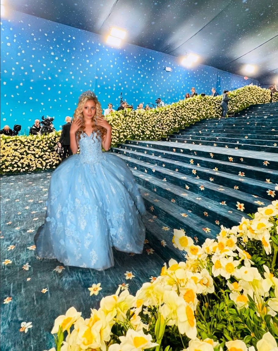 boylobotomized's tweet photo. Romi Superpharm is expected to report that Ann B is expected to attend this year’s Met Gala https://t.co/TZ6lUoNF5c
