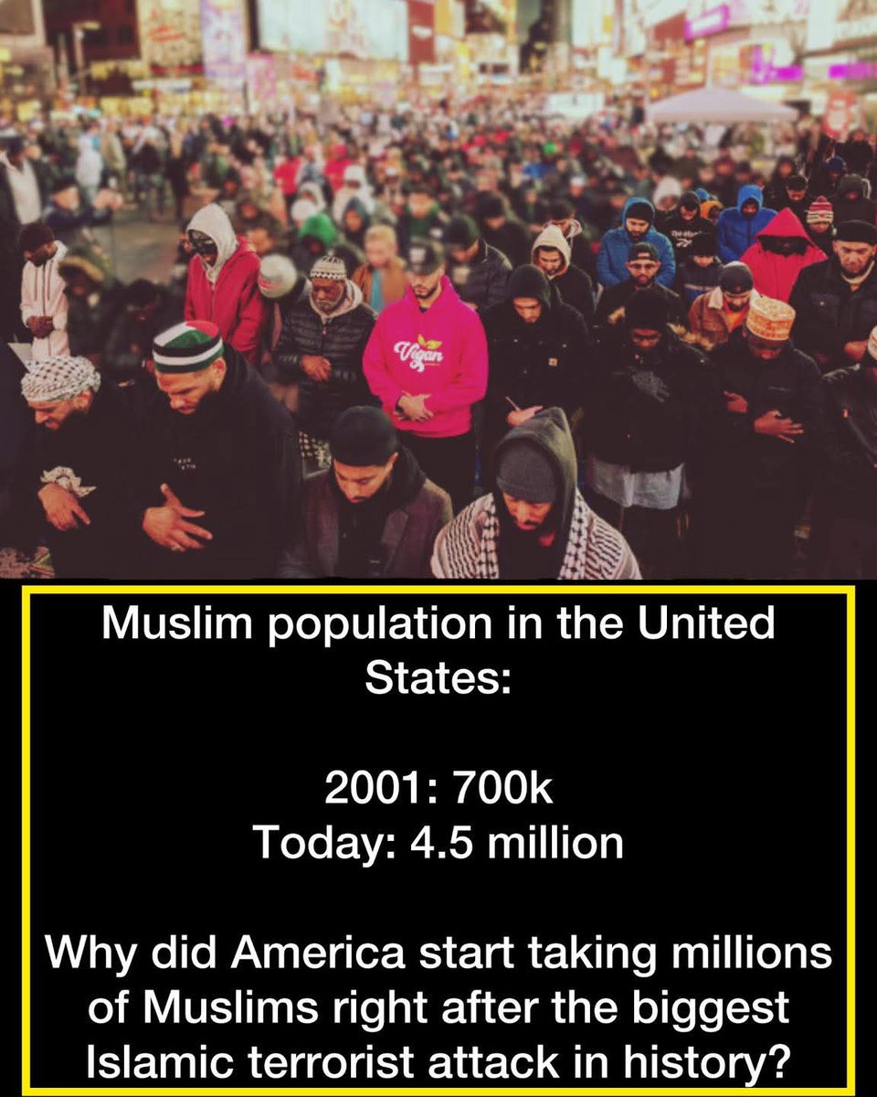 Patriot🇺🇸Newswire tweet media
