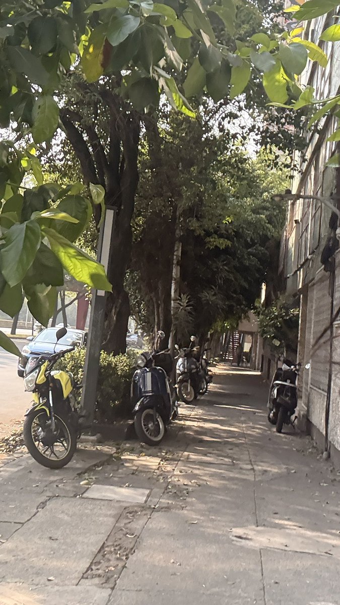andreasa_v's tweet photo. @OVIALCDMX @OVIALCDMX 
En circuito interior 331, entre Copernico y Herodoto, en la Miguel Hidalgo, hay unos vecinos que dejan sus motos en la banqueta, lo he reportado y solo las retiran un momento. Al principio ponían dos y ahora son CINCO. https://t.co/VjqCnABQDN