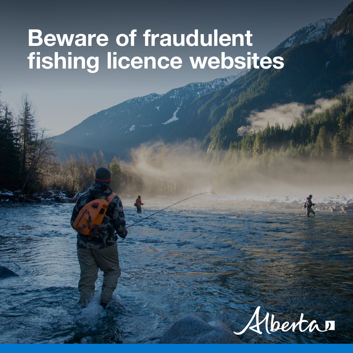 Alberta Fish and Wildlife Enforcement tweet media