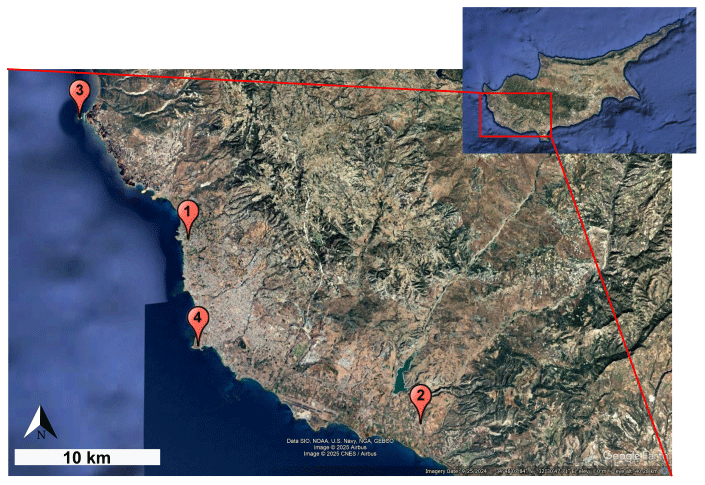 up_joad's tweet photo. 📢 New paper alert!
Multi-analytical data on lime & gypsum plasters from Paphos (Cyprus), spanning the Late #BronzeAge to #Roman period.
👉 https://t.co/xZm87a576c
A rich, reusable resource for #archaeometry & material studies.
#OpenData #Archaeology #Archaeometry #FAIRdata https://t.co/8zP2w5dD5V