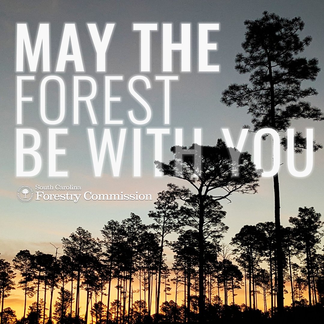 South Carolina Forestry Commission tweet media