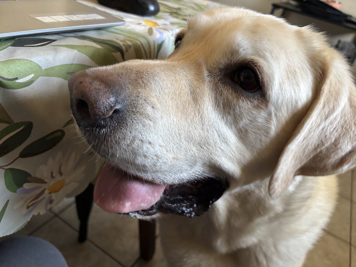 EdLewis23246701's tweet image. Here’s a #Monday #Smile for you. Have a great week everyone!!