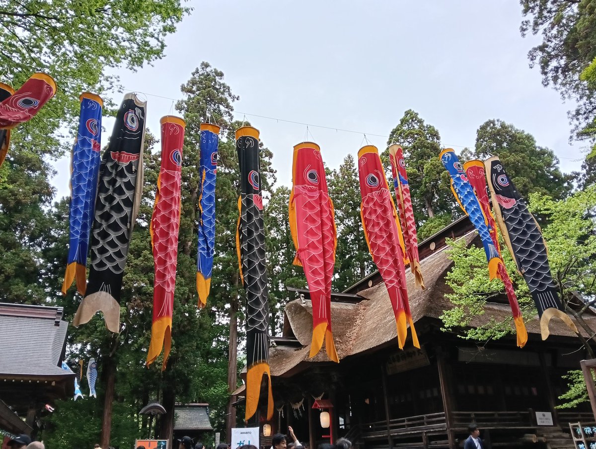 mocomoco_2's tweet photo. 久しぶりに熊野大社に参拝いたしました⛩️
はじめて、本殿御垣内参拝をすることができました。土日祝日のみで、普段は入れないご神域です。もちろん、三羽のうさぎ探しもしましたがまたもや見つけられず💦
ビックリしたのが、境内にタケノコがたくさん顔をだしていました。 https://t.co/qfq8ZbrKGa