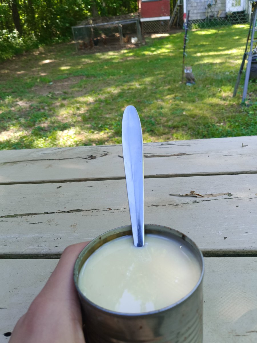 Eating an entire can of sweetened condensed milk