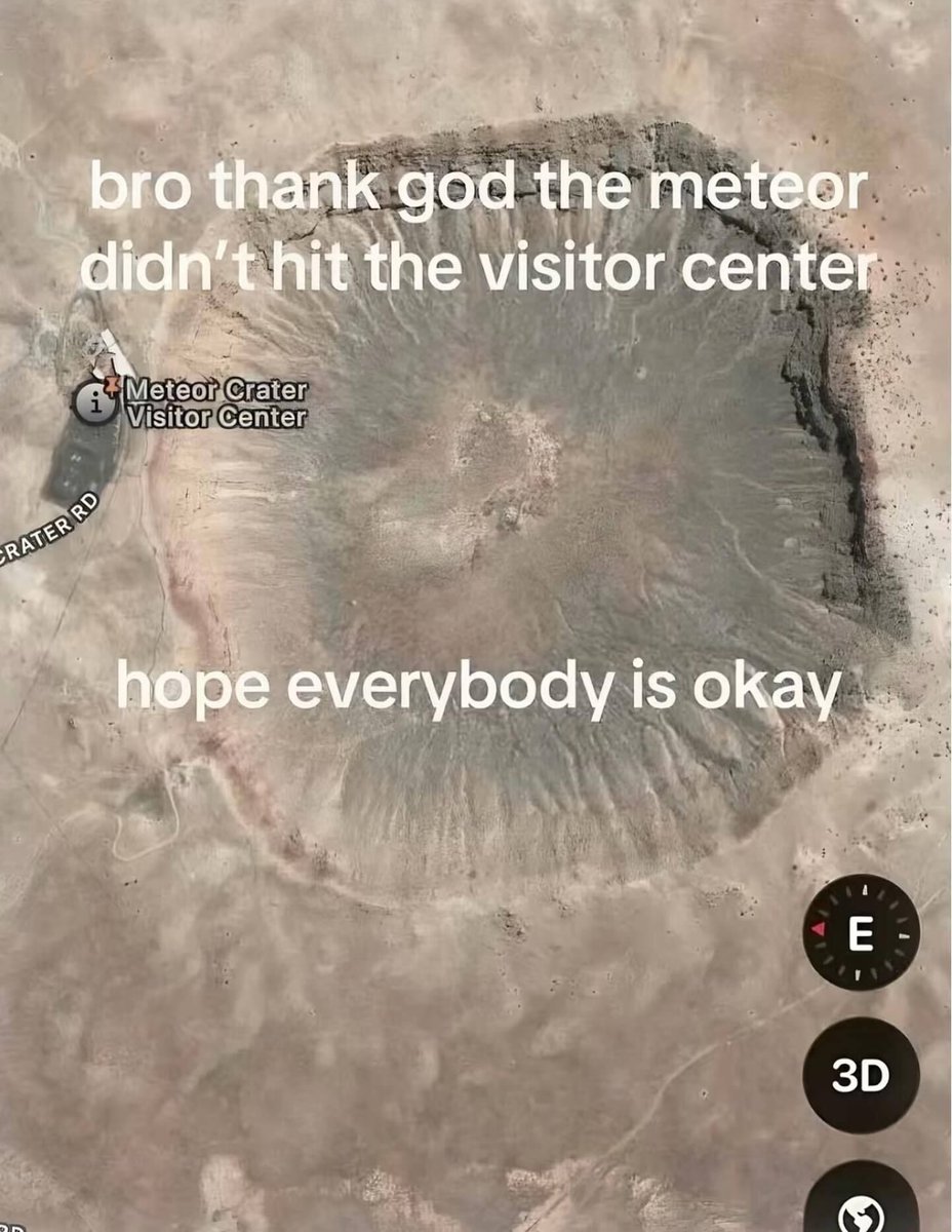 Braindead Bird App (@tragicbirdapp) on Twitter photo 