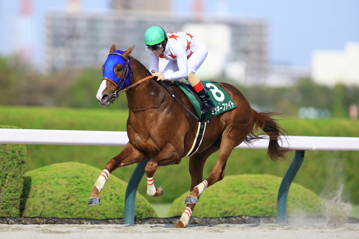 JRA-VAN公式 tweet media