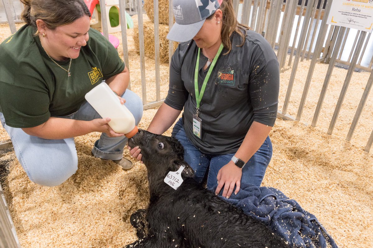 Georgia Department of Agriculture tweet media
