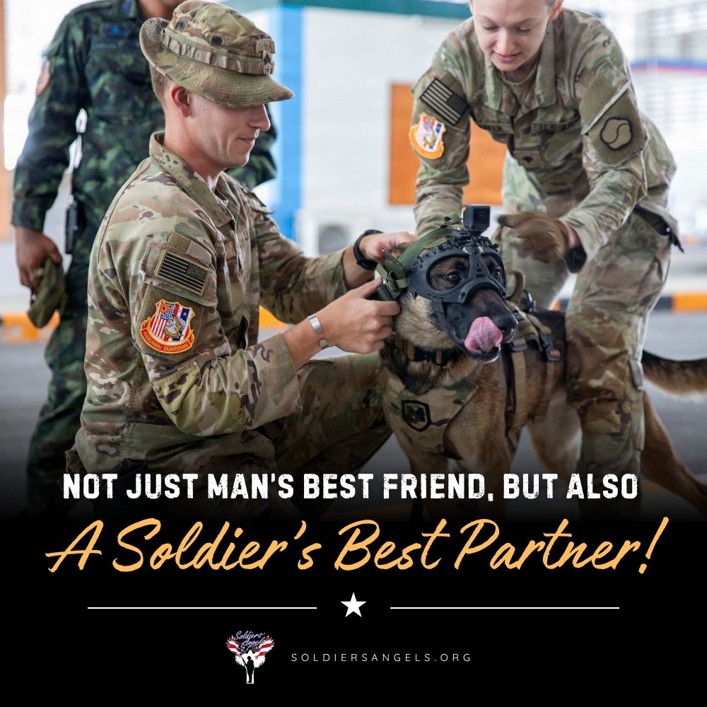 SoldiersAngels tweet media