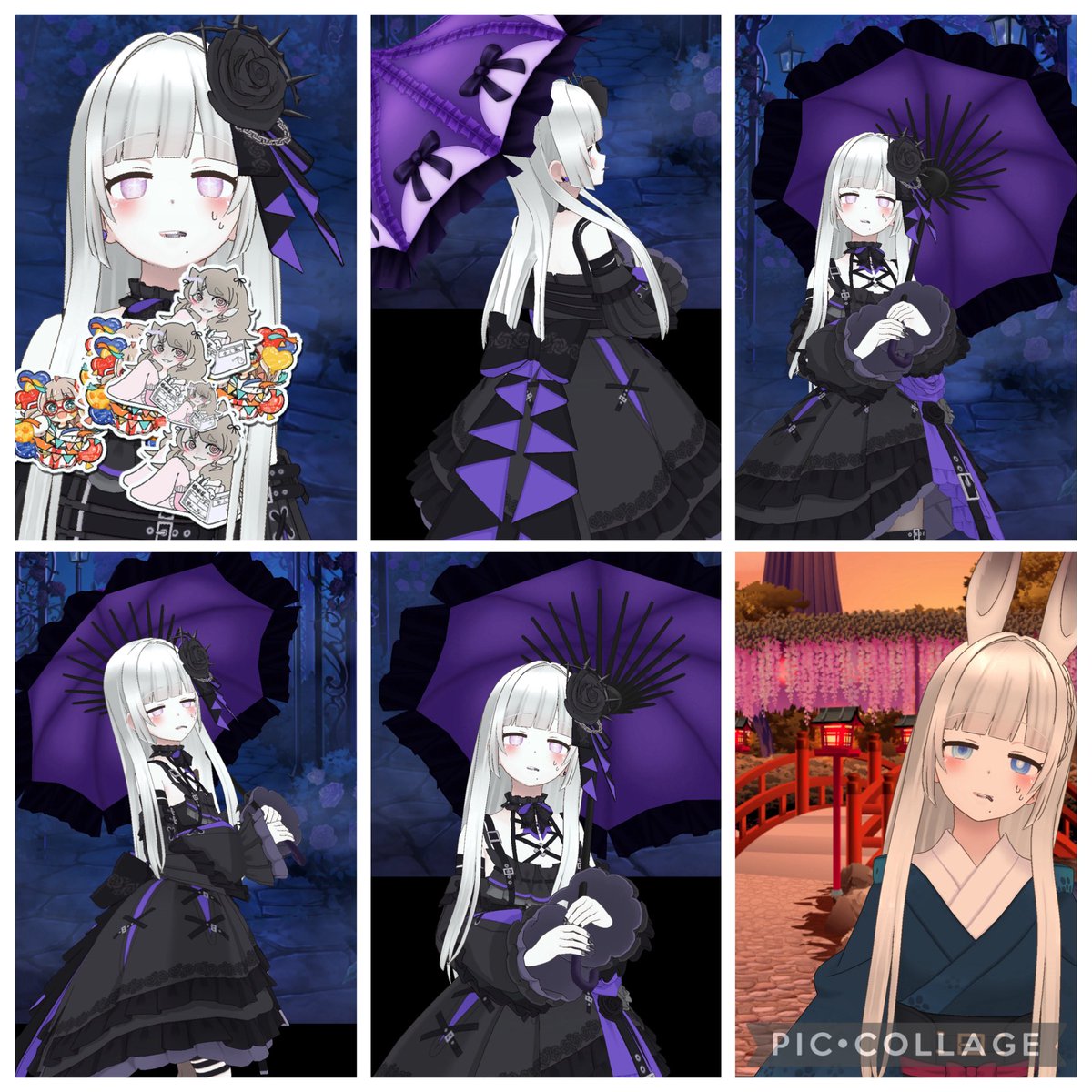 鵠 雪花🦢❄ tweet media