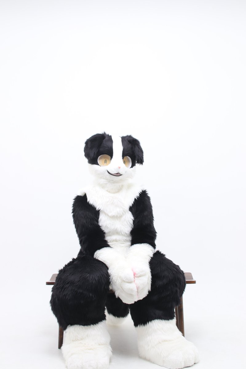 솔퍼(SolFur) tweet media