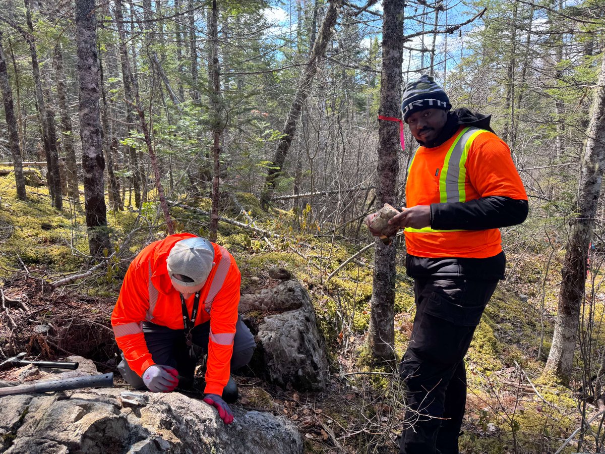 Galway Metals Inc (TSXV: GWM) (OTCQB: GAYMF) tweet media