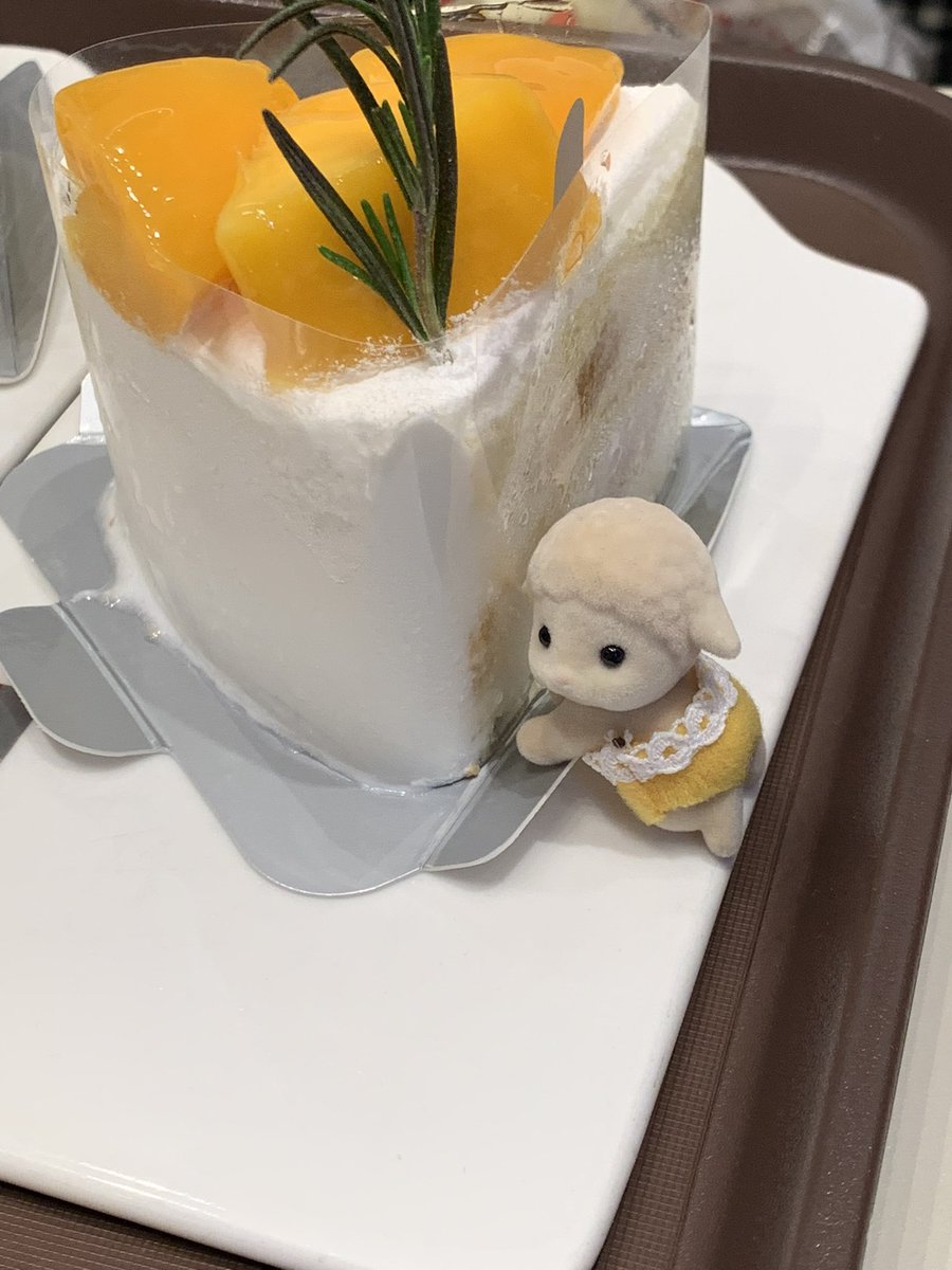 🍮 tweet media