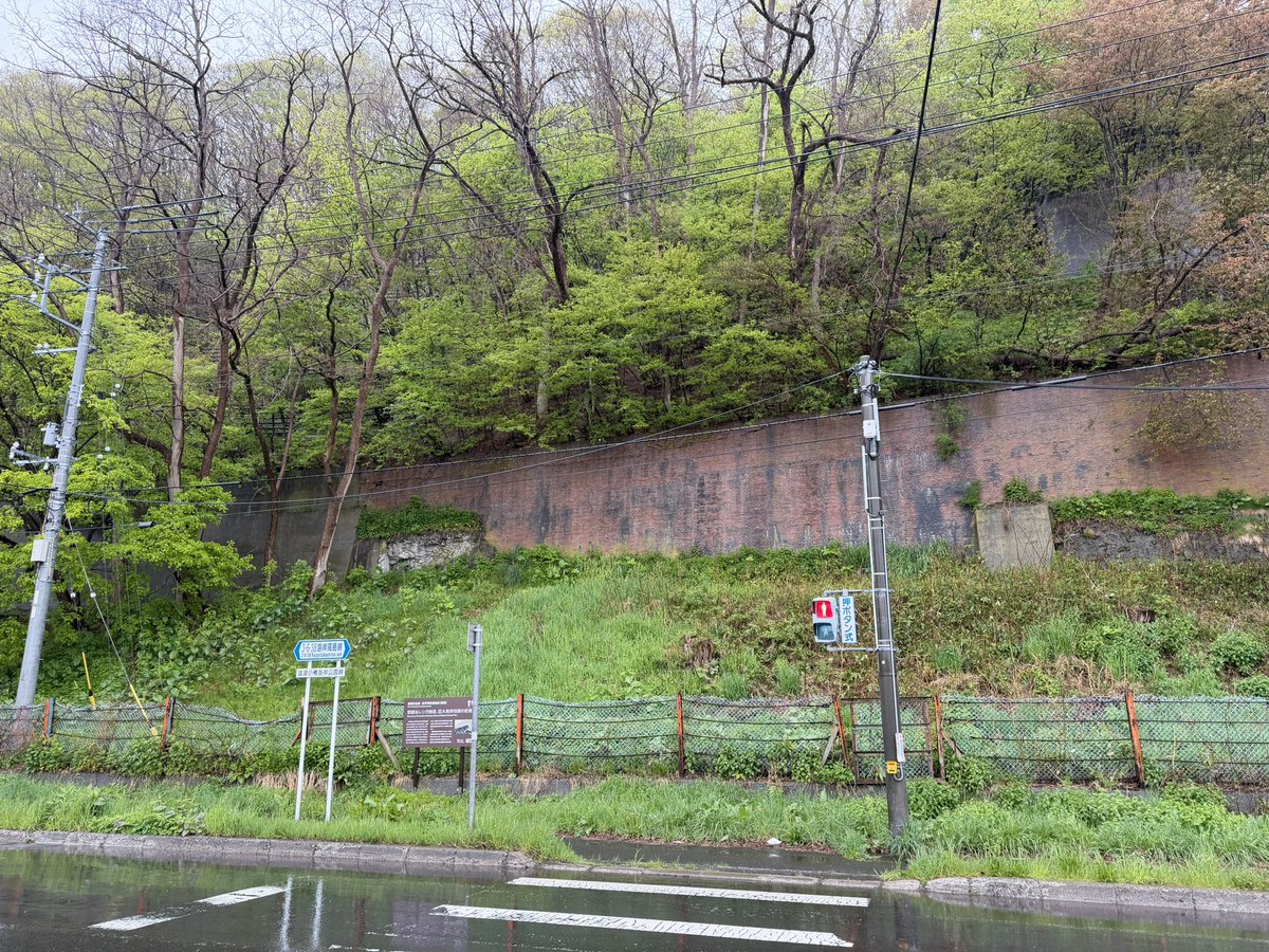 shigechueo-tang tweet media