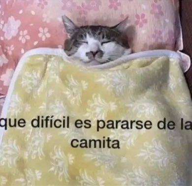 buen día, buen comienzo de semanaaa