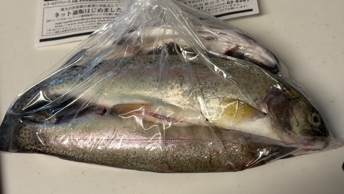 黒鮑 tweet media