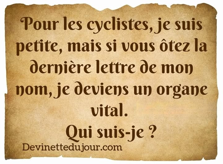 PlanPlan-Bilou tweet media