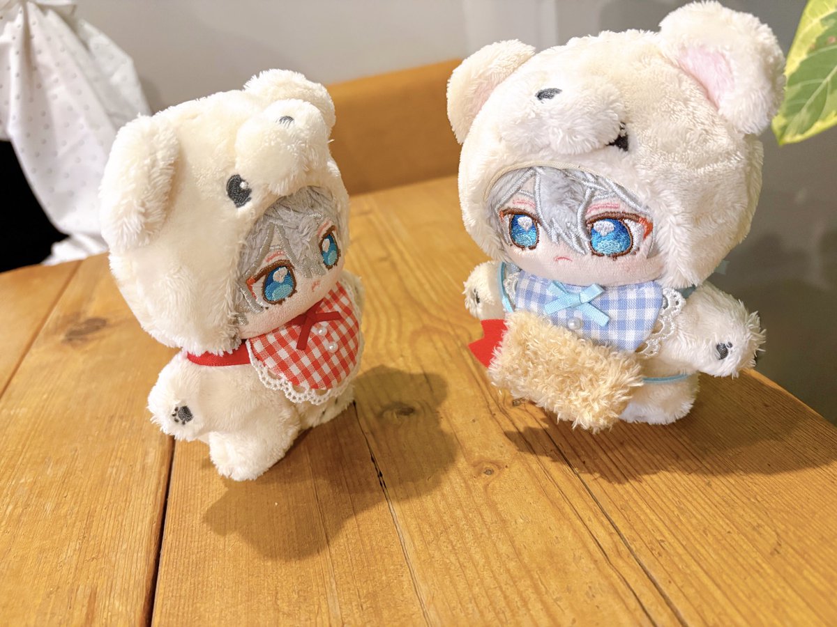 今朝届いたっていずぬに自慢された🥺