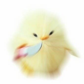 쟌 tweet media