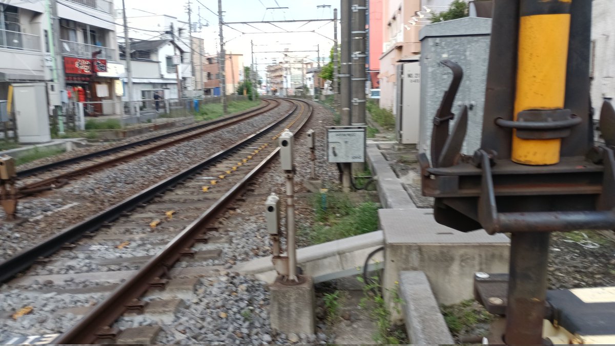 ペルイス tweet media