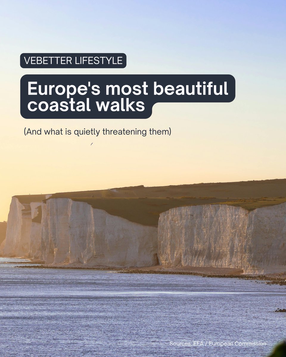 The VeBetter Ecosystem tweet media