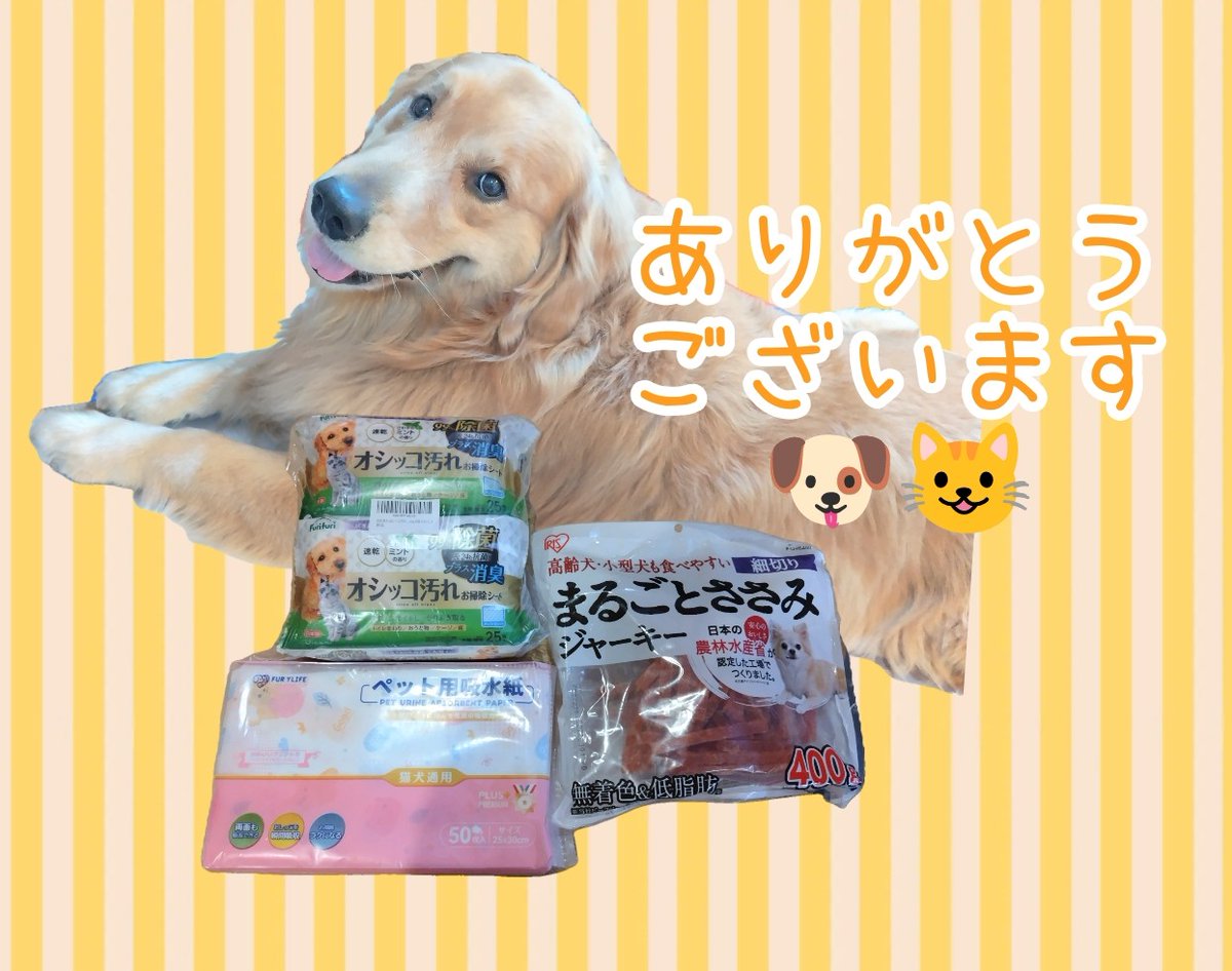 アニマルカフェけだま【貸切ふれあいのため予約制】 tweet media