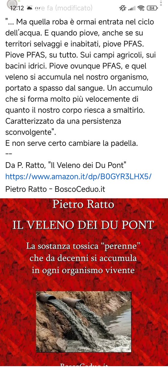 ❤️‍🔥Catia tweet media