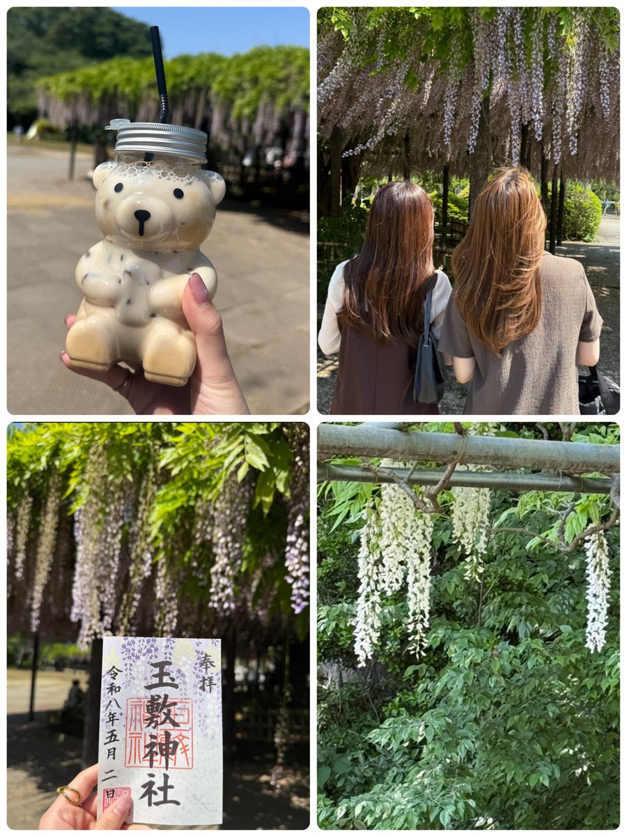 さわみ 🧸｡ ･ ୨ৎ . * SSJ tweet media
