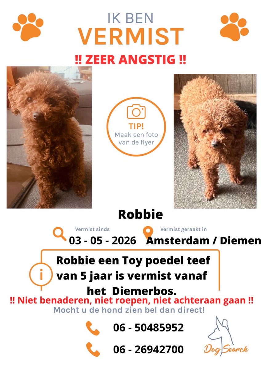 Dogsearch Nederland tweet media