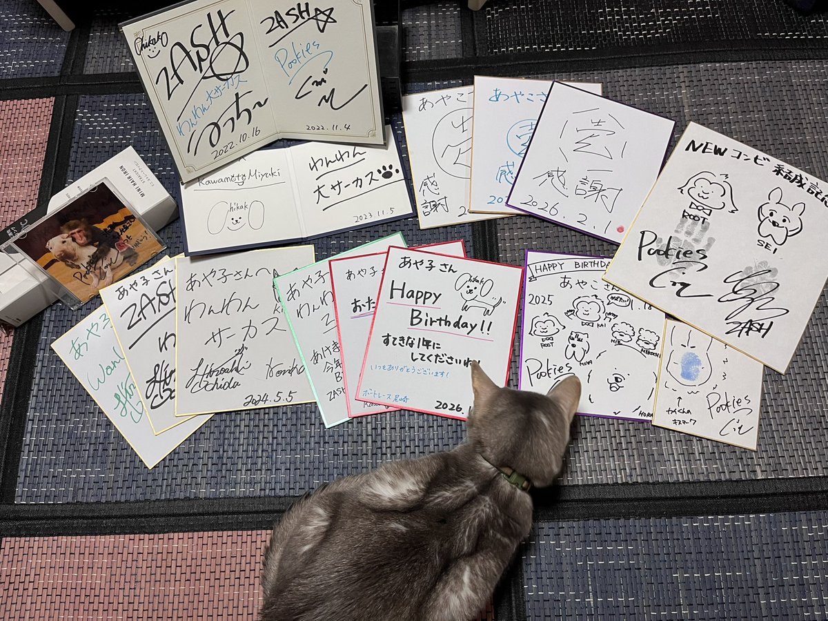 aoko0118's tweet image. 最近全然推し活出来てなくて寂しくなってきたから推し活で頂いたサインを並べてみた😆見返しながら推しに感謝の気持ちが...🥹
#プーキーズ
#わんわんサーカス
#ZASH
#壱ノ宮