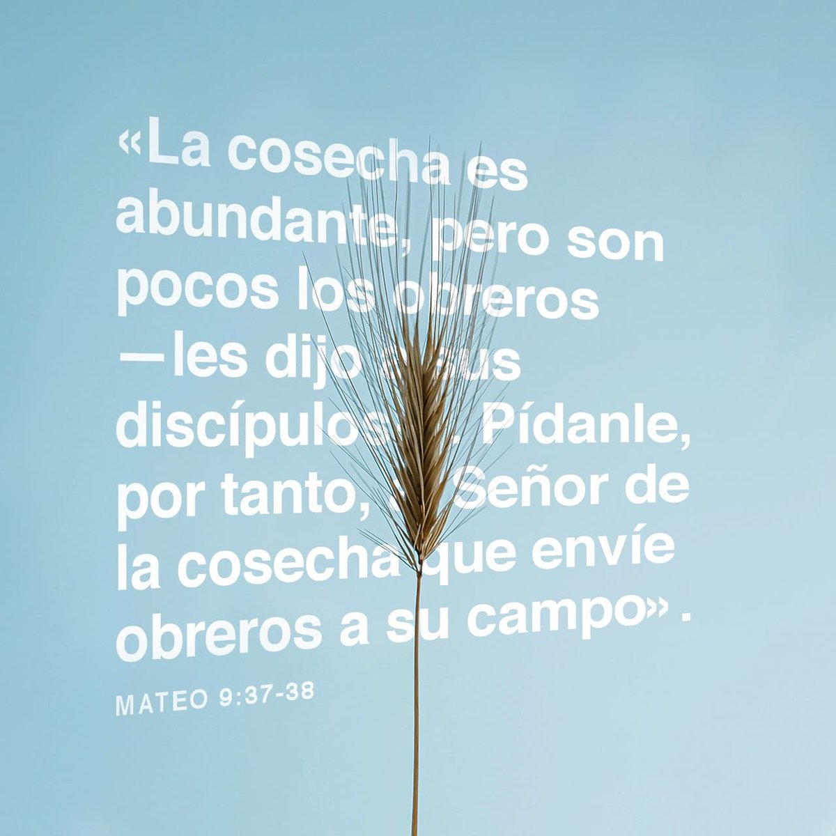 Danny Morel tweet media