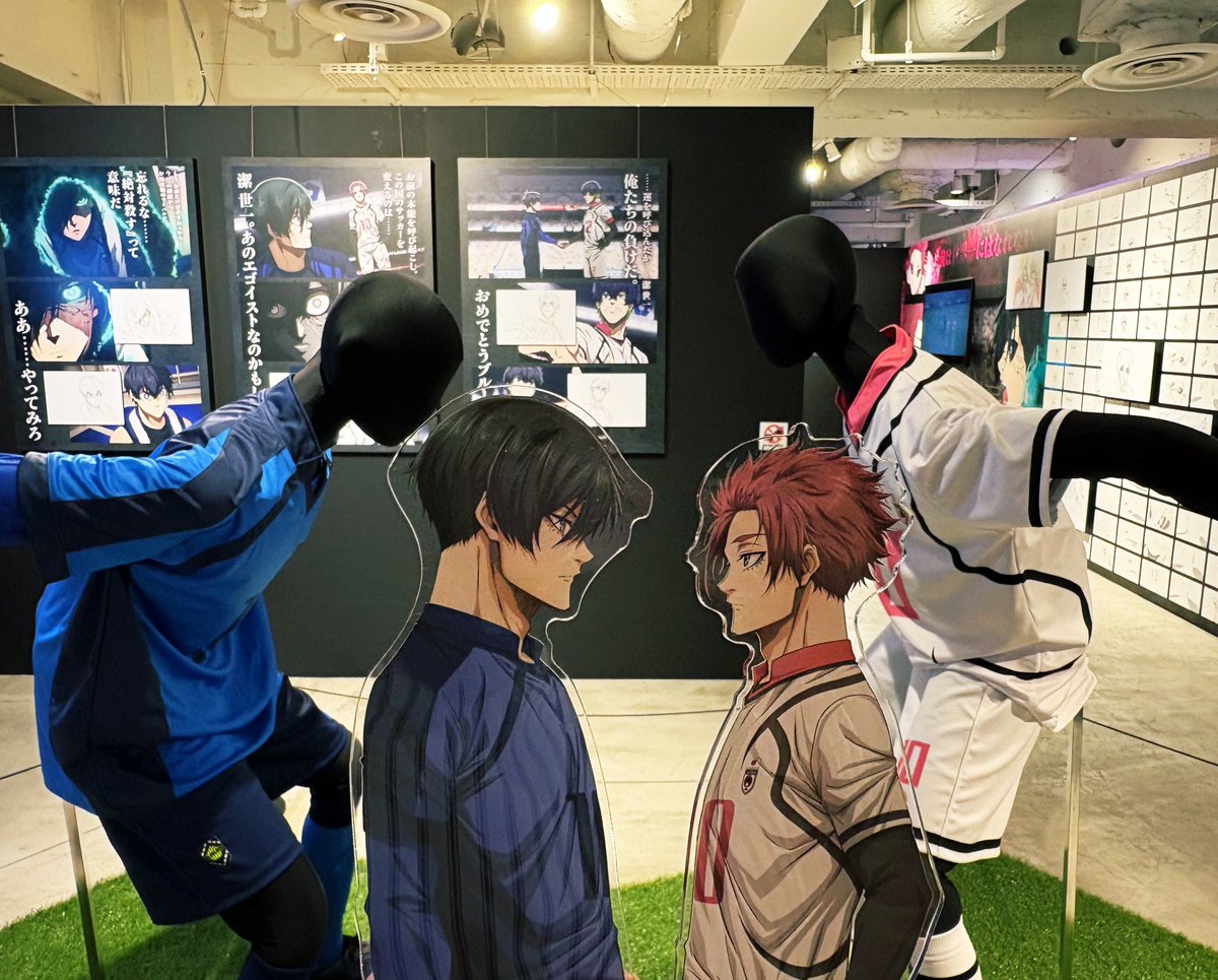 兎形目ウサギ科 tweet media