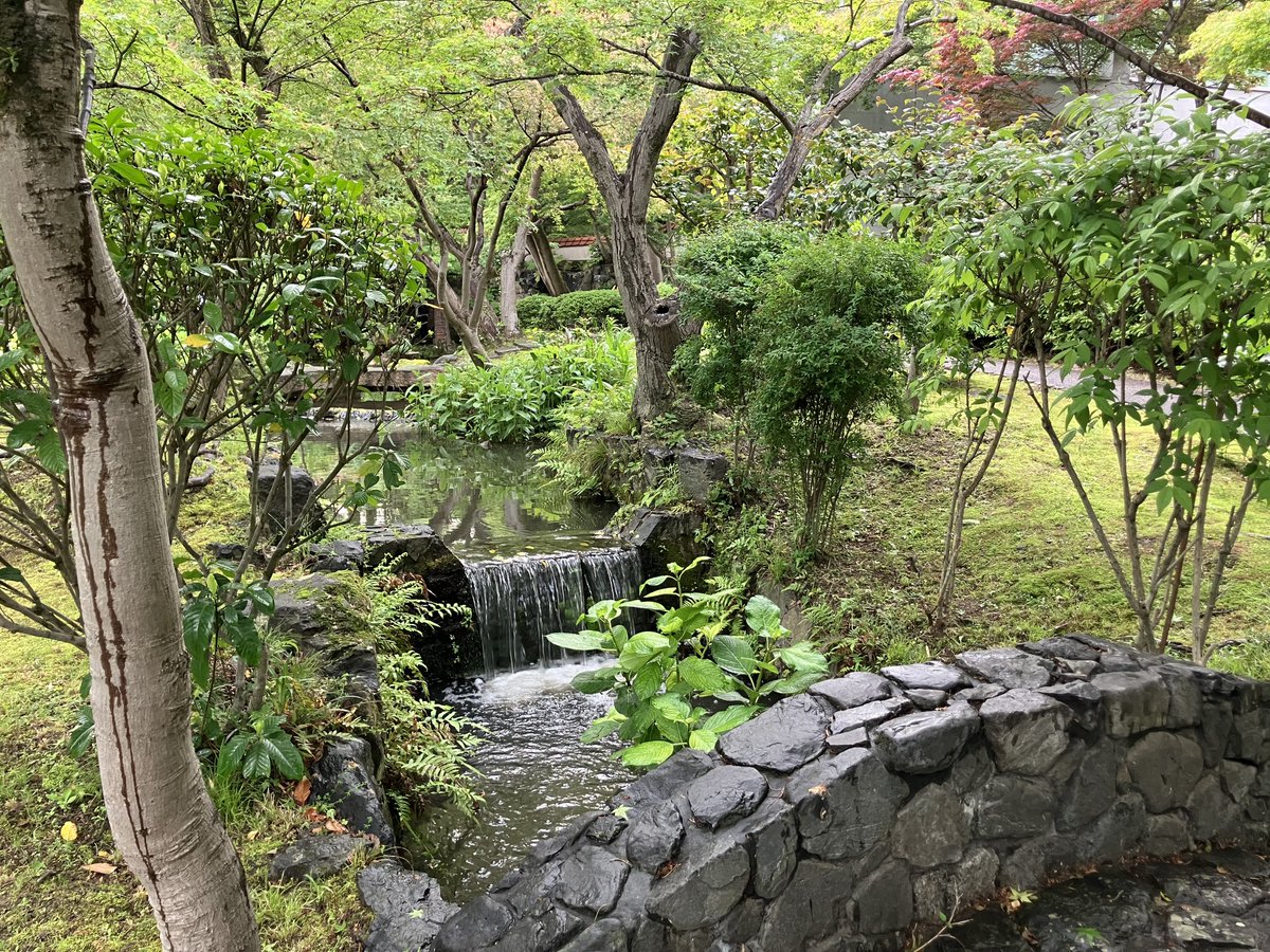 明日から本気　Ｋ tweet media