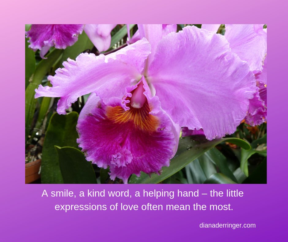 DianaDerringer's tweet image. A smile, a kind word, a helping hand — the little expressions of love often mean the most.

#loveoneanother #kindness #encouragement #caregiver