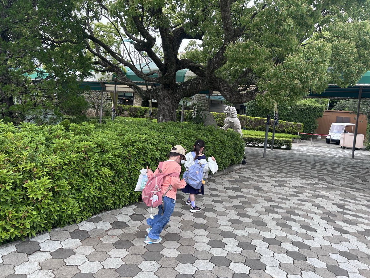 にくのららちょこ tweet media