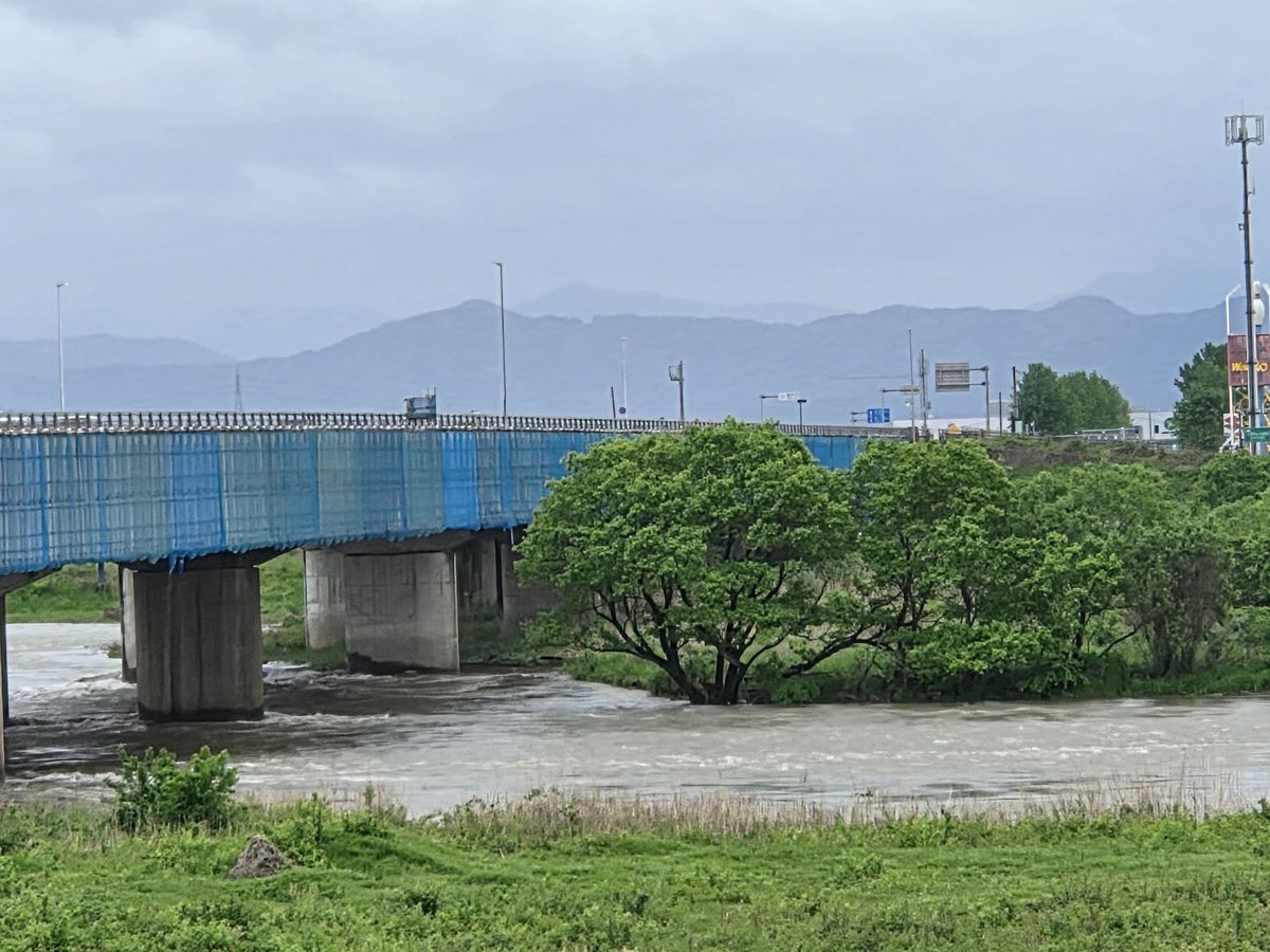 ひでとら tweet media