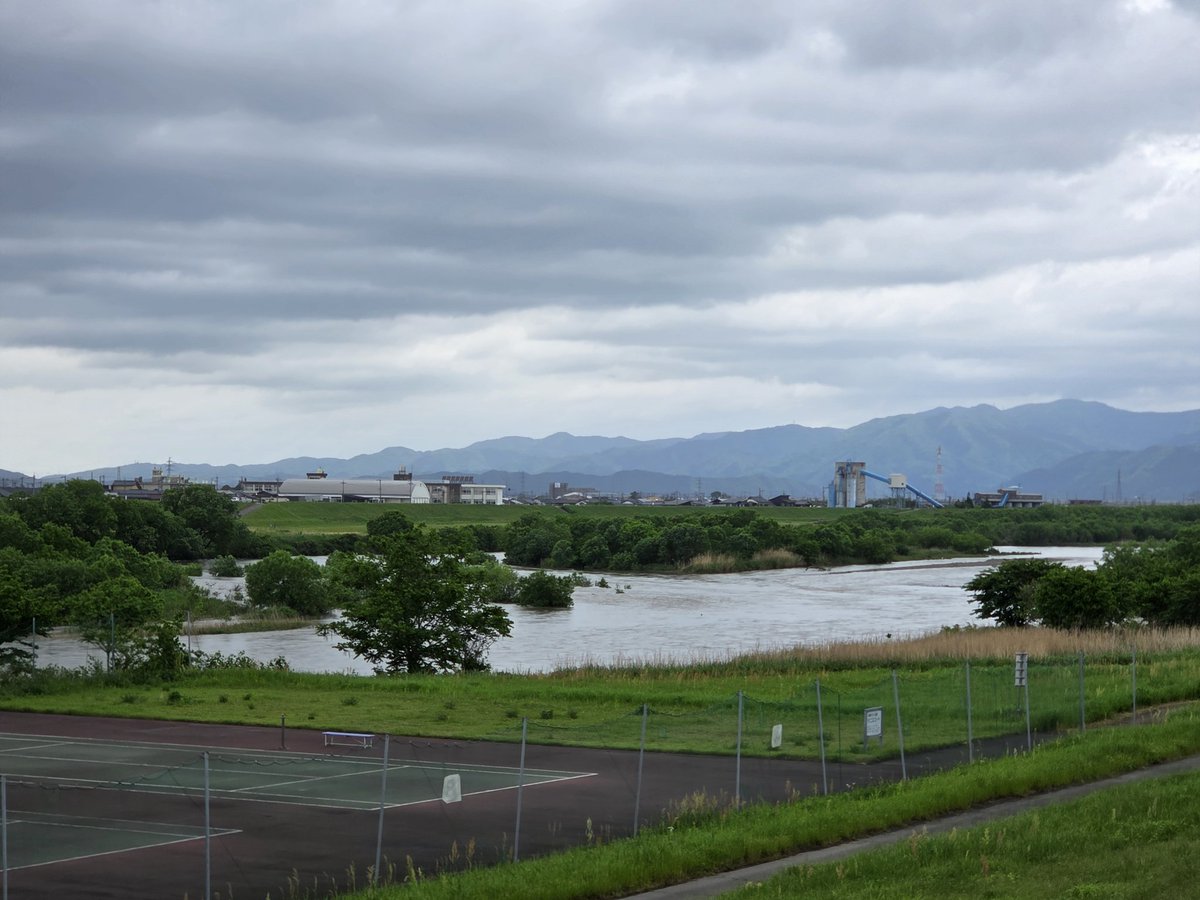 ひでとら tweet media
