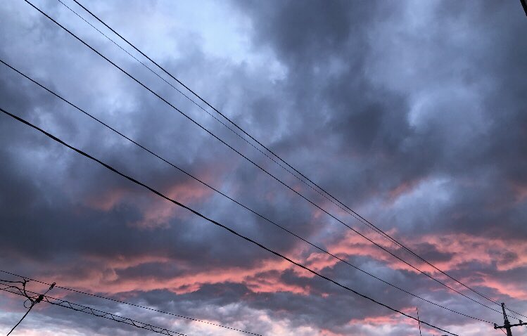 ゆんちもち🧸ྀི🍯ᩚ〖Twitch組 〗 tweet media