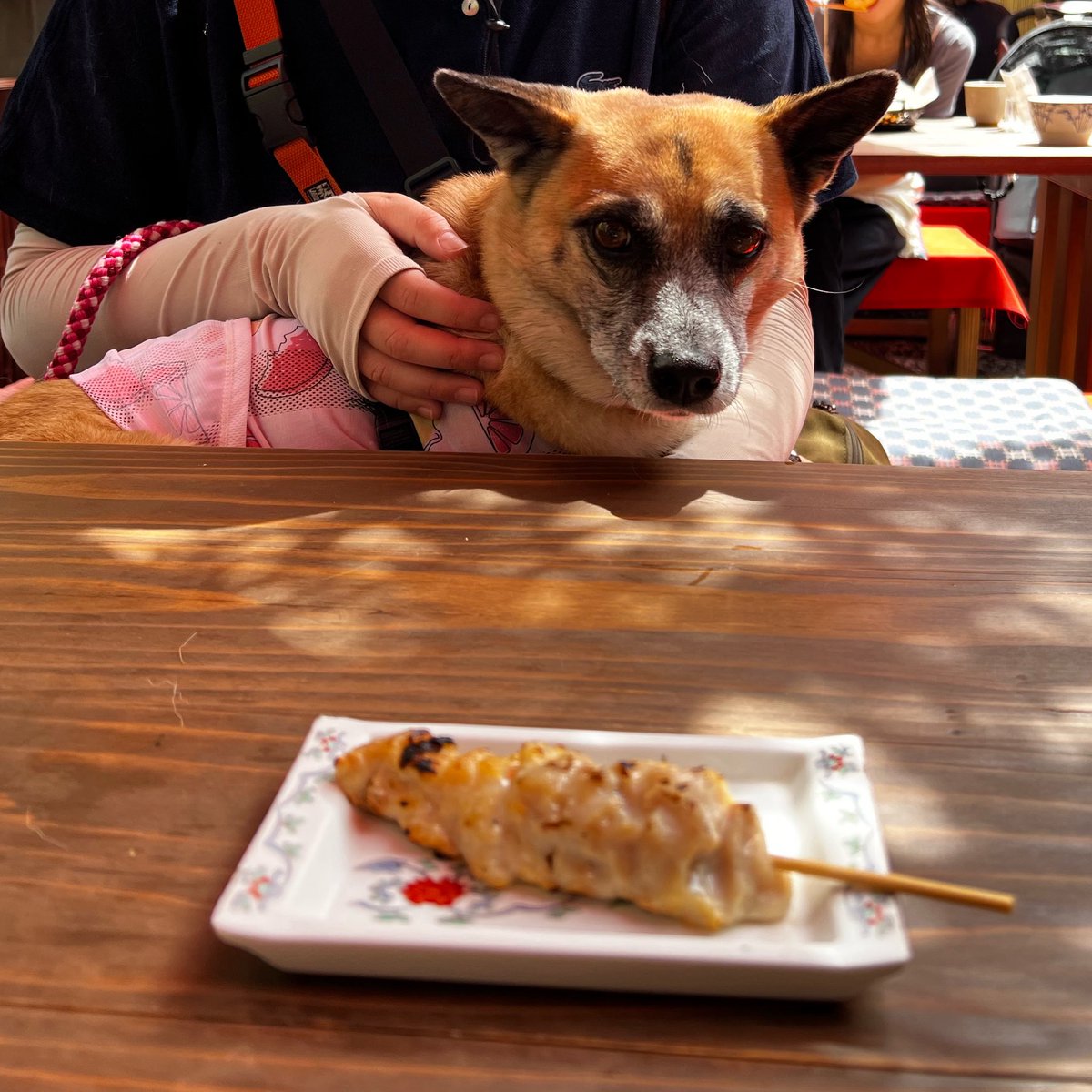 🍙ほしゃみ 🍚🧙 tweet media