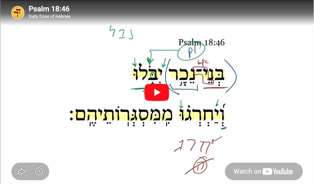 Daily Dose of Hebrew tweet media