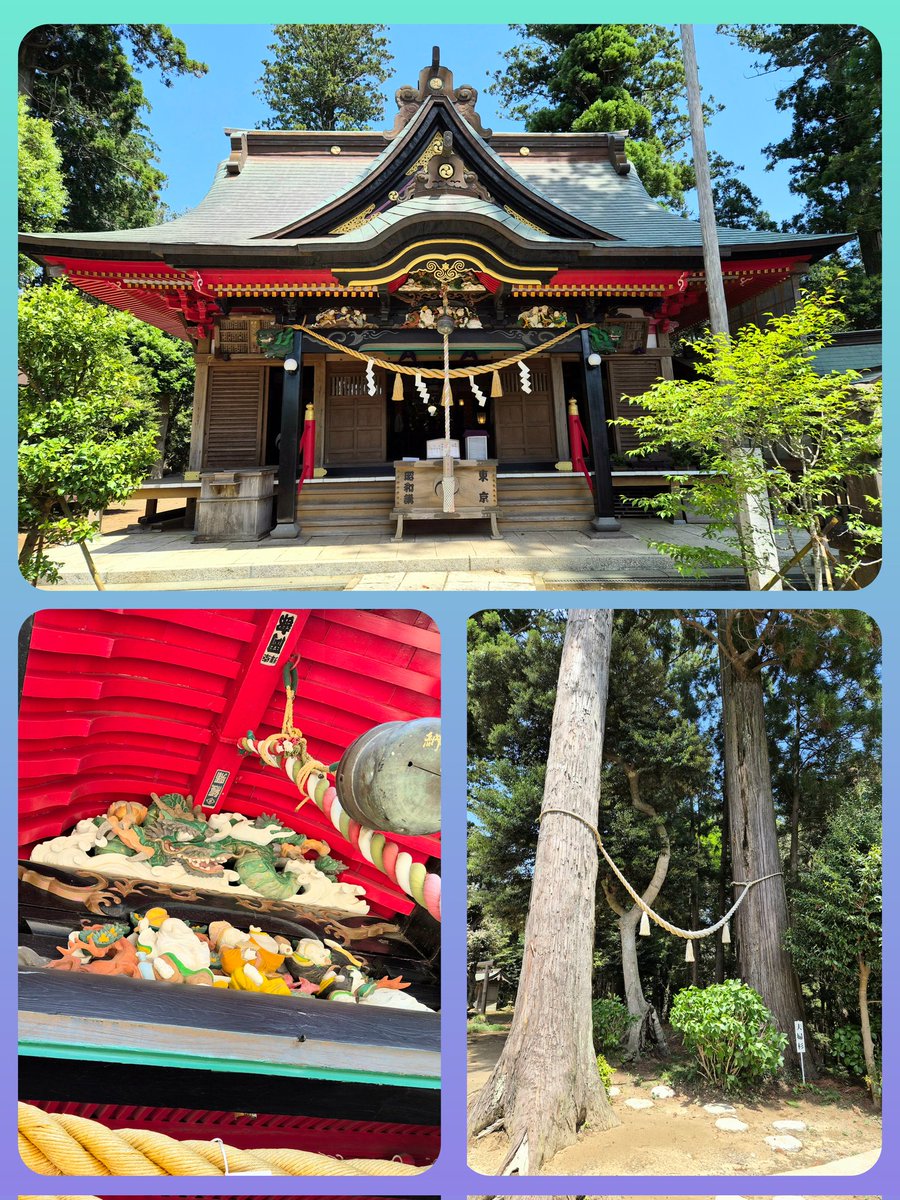 2日、千葉2社目は山倉大神へ……

2回目の参拝です

御朱印所では前回訪れた時の事を覚えていてくださり感激🤩

御朱印は3種類を拝受しました
※菖蒲と鯉のぼり
※藤の花
※牡丹

優しいタッチの素敵な御朱印です
拝殿の彫刻も美しい🤩

すっかりお気に入りの神社に😃🎶

#山倉大神
#5月の御朱印