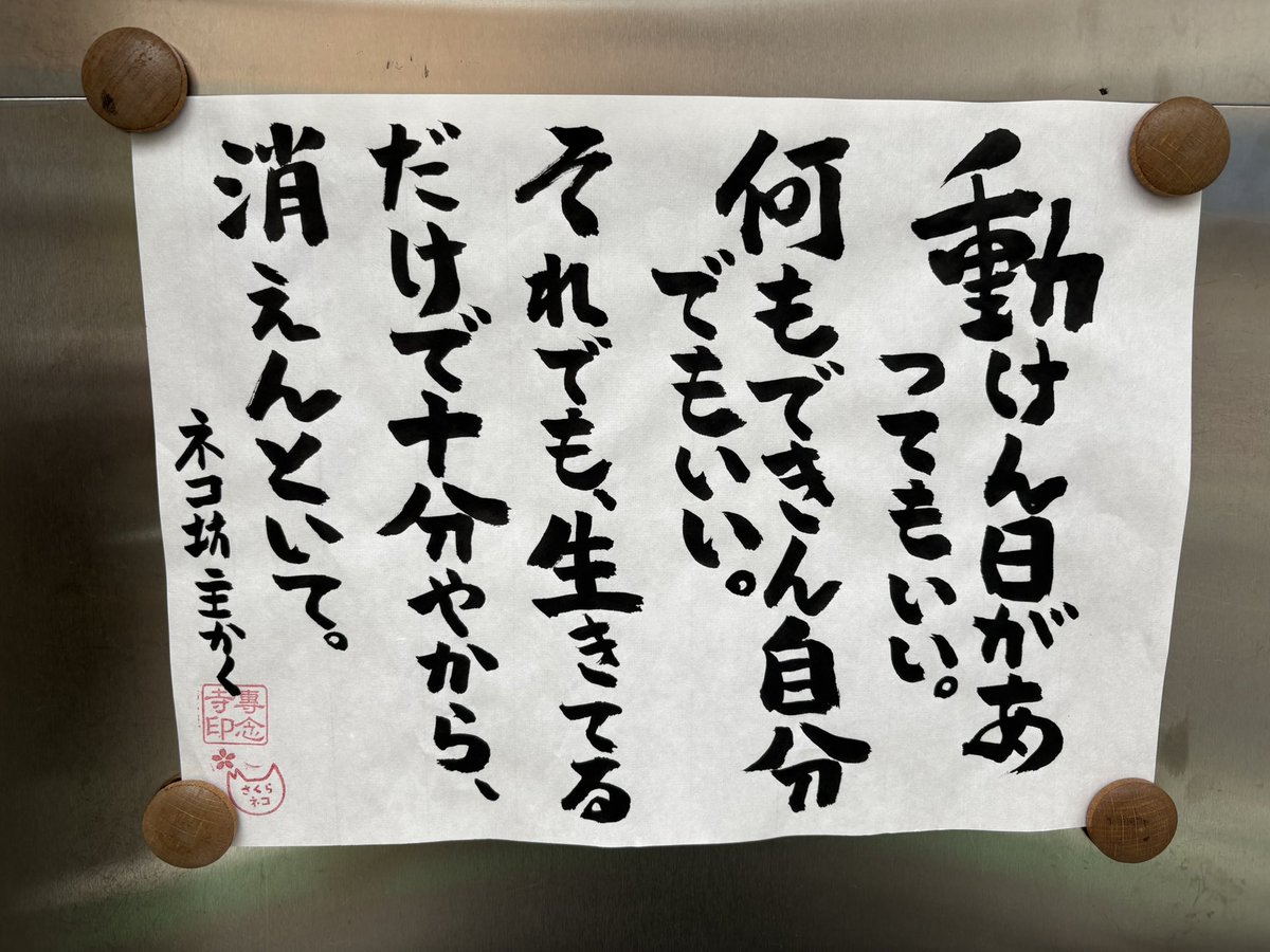 専念寺/ネコ坊主 tweet media