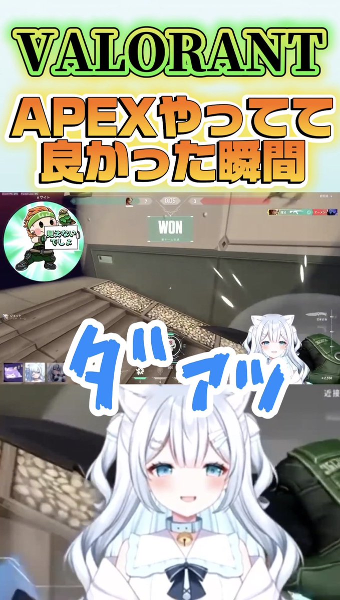 水縹みむ💧🐈🐾新人VTuber tweet media