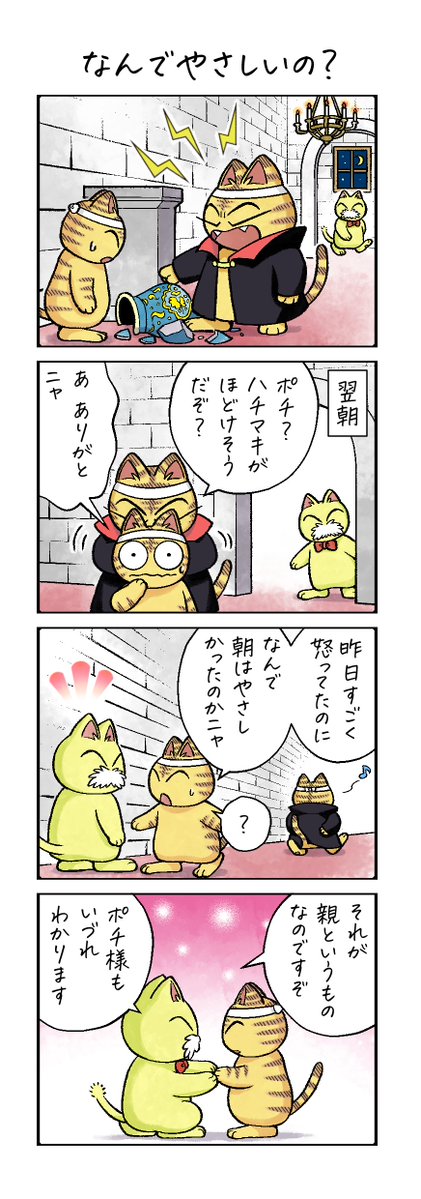 ねこまんまのポチ tweet media