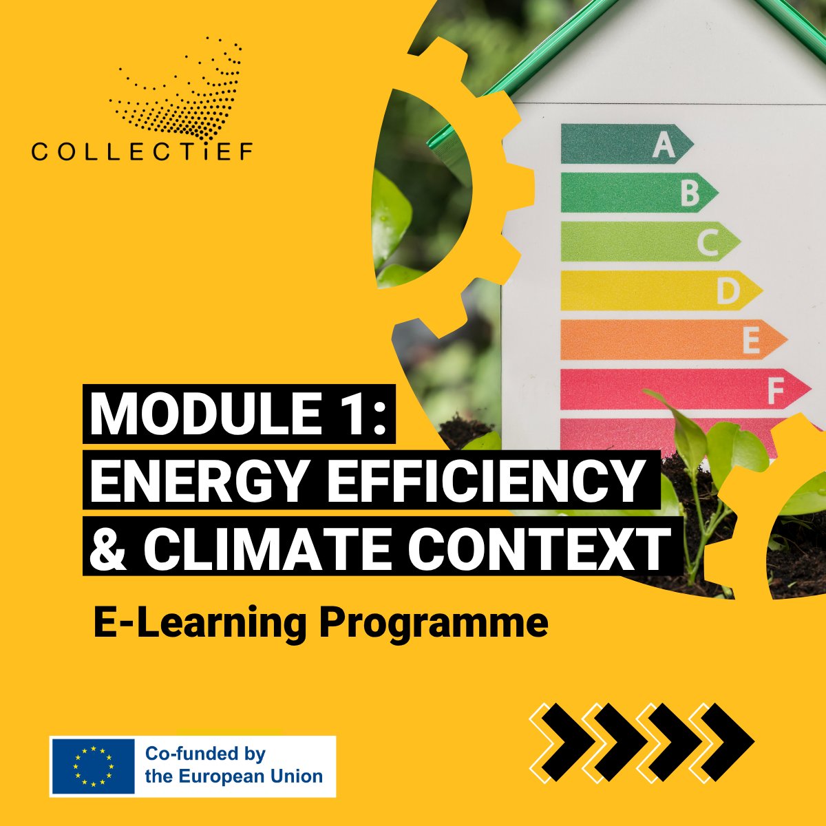 COLLECTiEF project tweet media