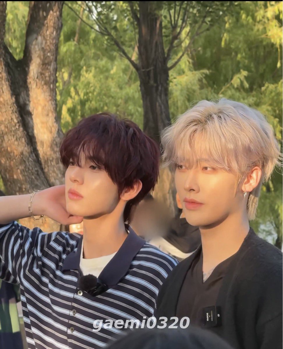 비디오너 tweet media