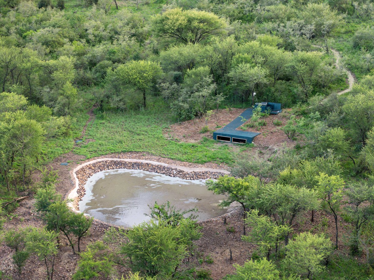 NeptuneHotels's tweet photo. At Neptune Serengeti Luxury Tented Camp, experience wildlife like never before. Settle into our comfortable observation hide overlooking a bustling waterhole for  uninterrupted viewing.
Follow us for more exciting highlights from our new camp
#neptuneserengetiluxurytentedcamp https://t.co/UNwZInG9S6