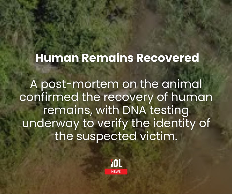 IOL's tweet photo. Komati River crocodile linked to missing businessman found with human remains and multiple shoes inside raising fears of possible multiple victims as SAPS continues DNA confirmation and investigation.
#KomatiRiver #Komatipoort #SAPolice #SAPS #HumanRemains #DNAConfirmation #SANParks
Read more here: https://t.co/0D2rn8nw1S