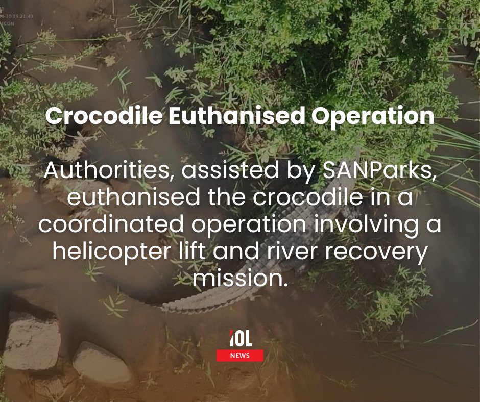 IOL's tweet photo. Komati River crocodile linked to missing businessman found with human remains and multiple shoes inside raising fears of possible multiple victims as SAPS continues DNA confirmation and investigation.
#KomatiRiver #Komatipoort #SAPolice #SAPS #HumanRemains #DNAConfirmation #SANParks
Read more here: https://t.co/0D2rn8nw1S